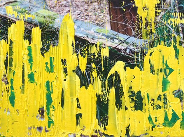 Menschenspuren im Wald I